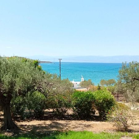 Votsalo Summer House By The Beach Porto Heli Ngoại thất bức ảnh