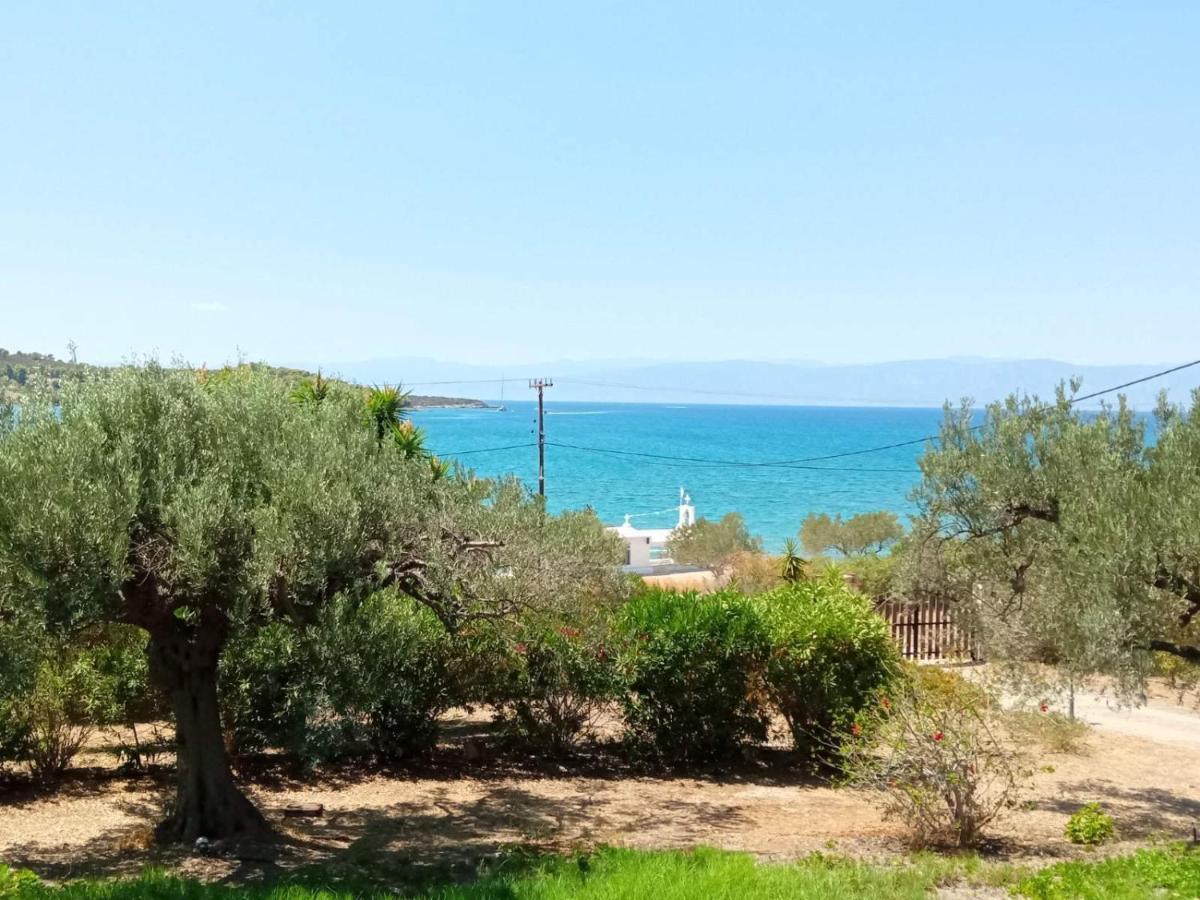 Votsalo Summer House By The Beach Porto Heli Ngoại thất bức ảnh