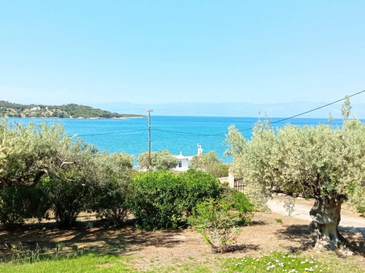 Votsalo Summer House By The Beach Porto Heli Ngoại thất bức ảnh