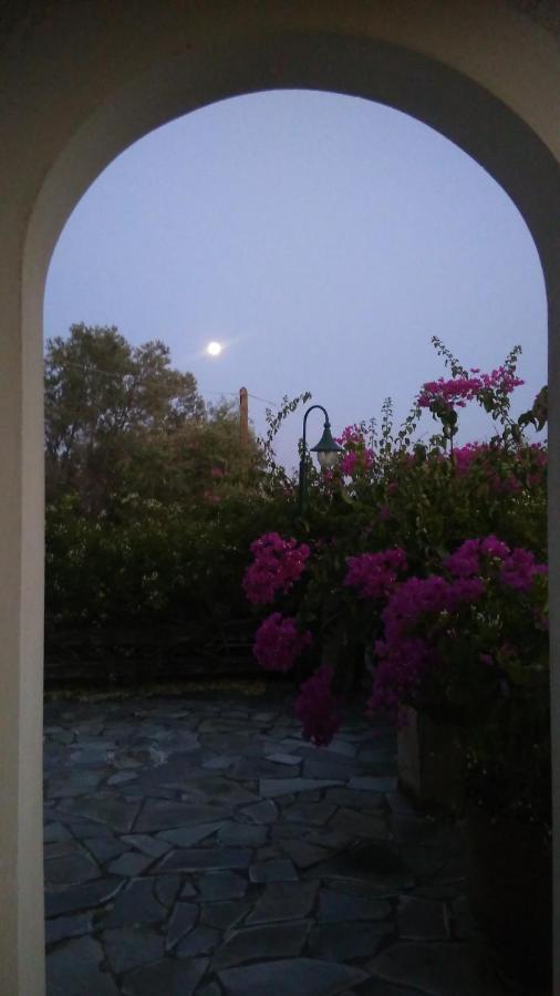 Votsalo Summer House By The Beach Porto Heli Ngoại thất bức ảnh