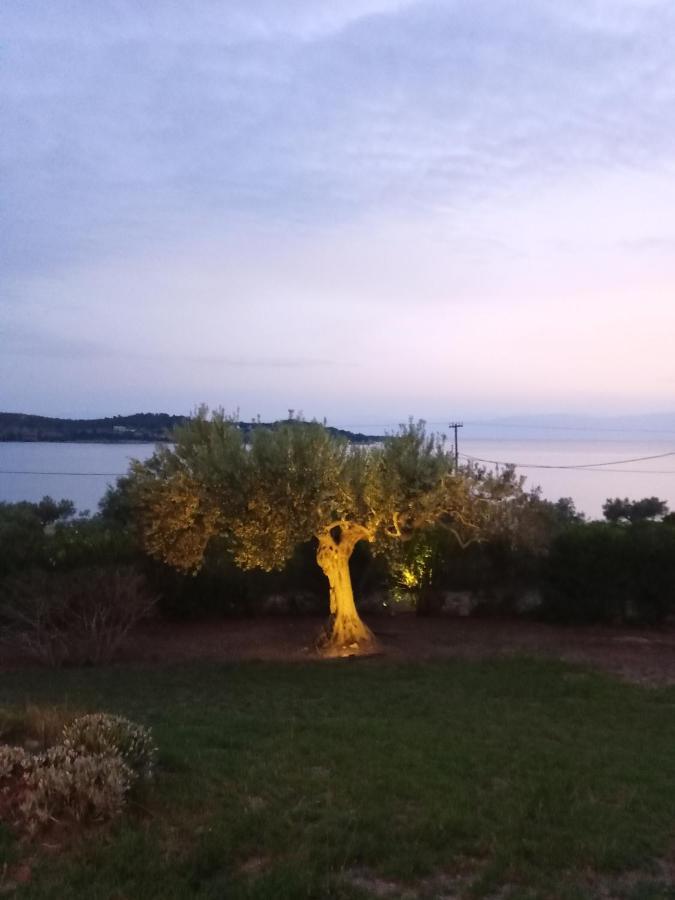 Votsalo Summer House By The Beach Porto Heli Ngoại thất bức ảnh