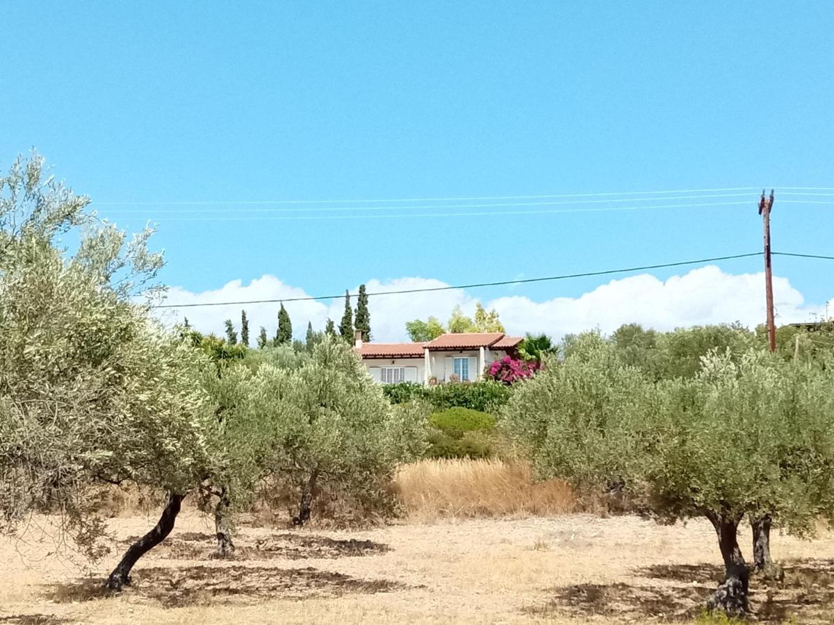 Votsalo Summer House By The Beach Porto Heli Ngoại thất bức ảnh